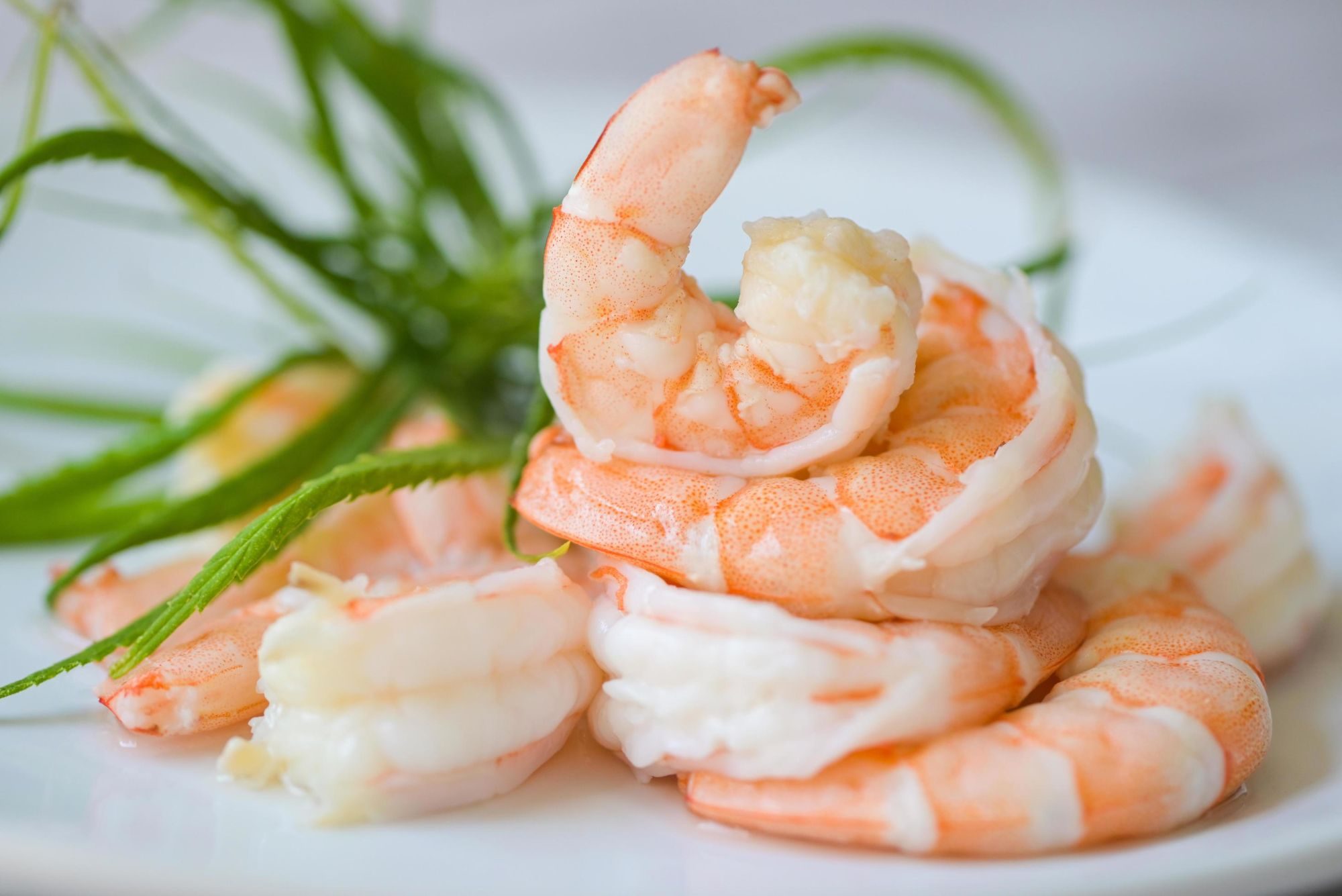 Cooked and peeled shrimp