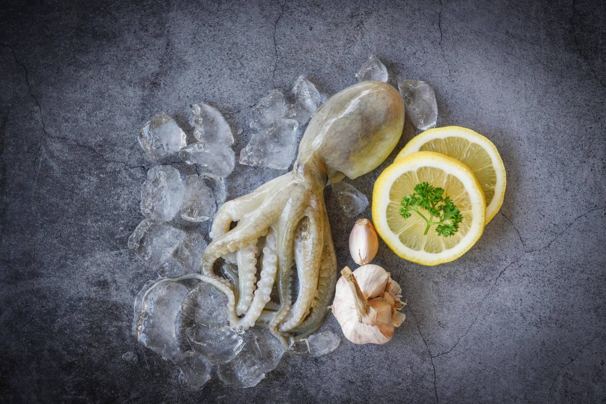Fresh octopus on ice