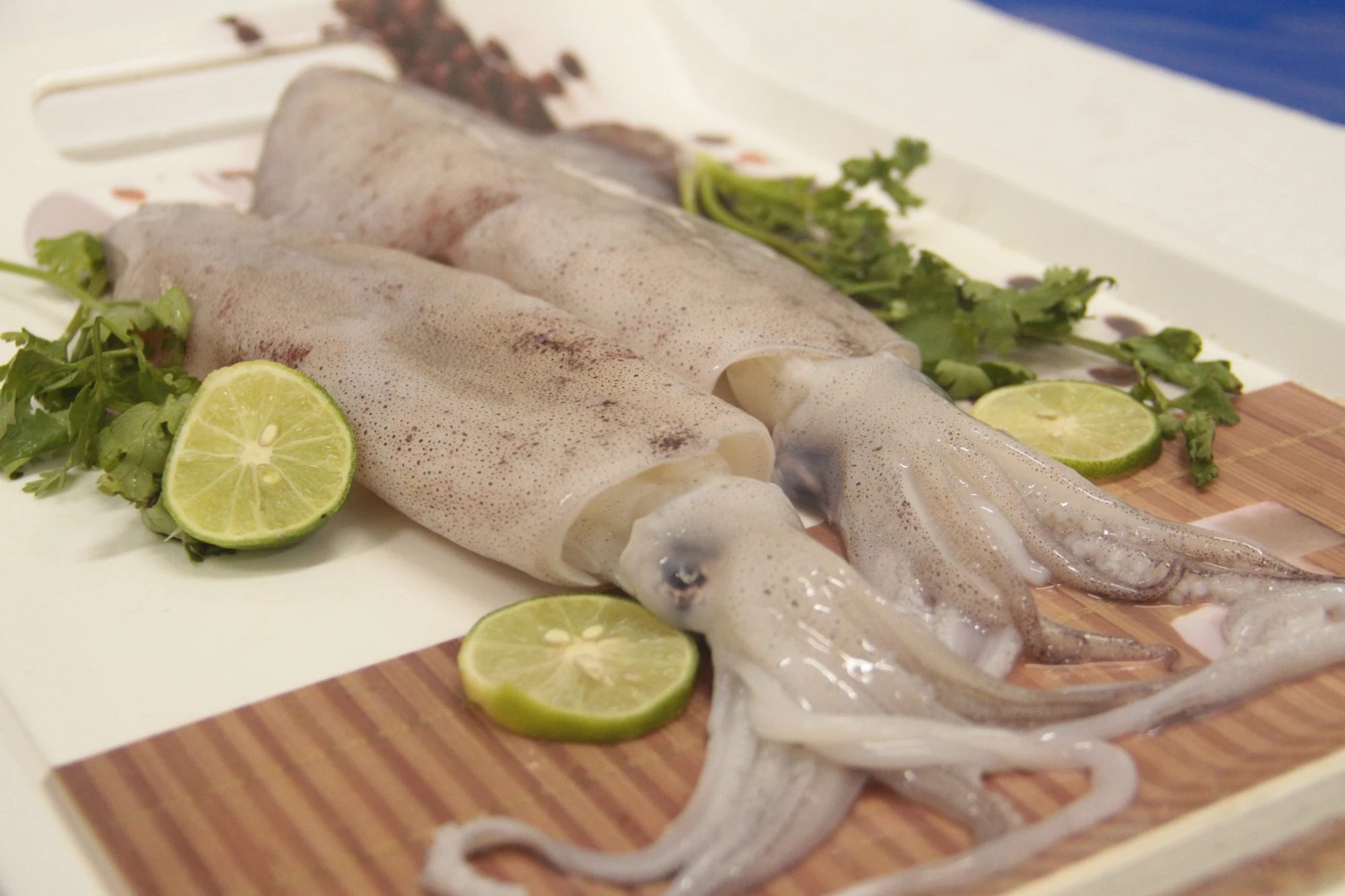 Fresh whole squid