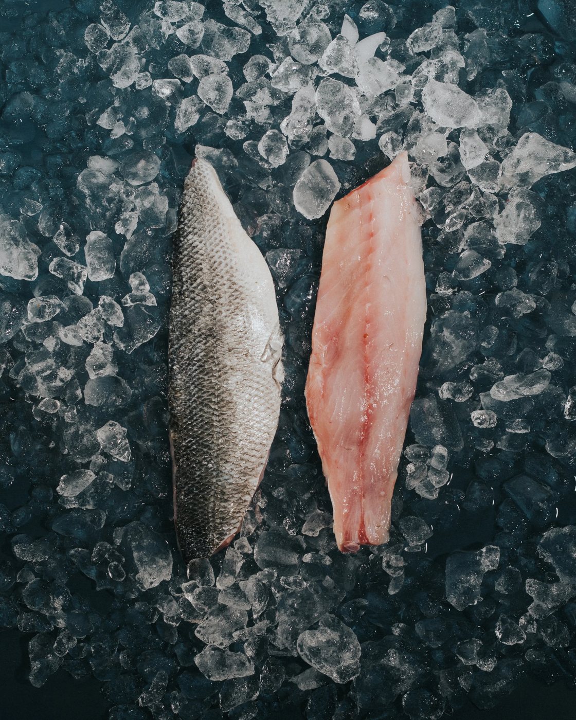 Fresh Fillets