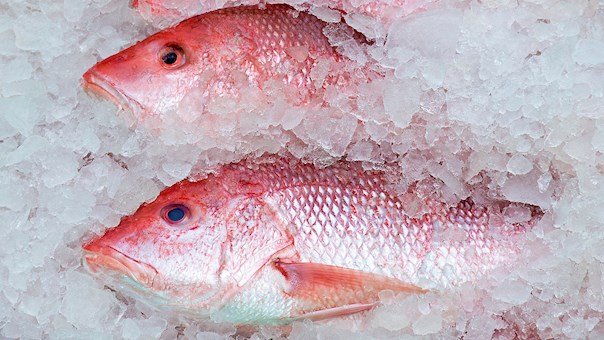 Whole Fish